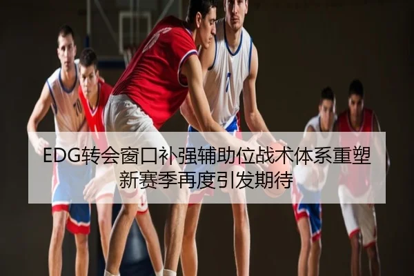 EDG转会窗口补强辅助位战术体系重塑新赛季再度引发期待